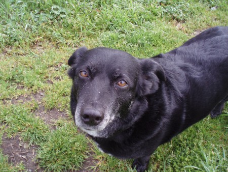 Prima uscita gratuita e senza impegno